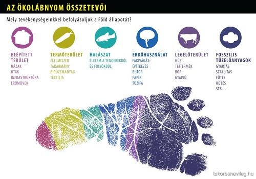 ecological footprint